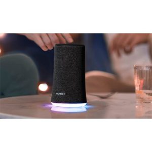 اسپیکر بلوتوثی انکر SoundCore Flare 2 Anker Bluetooth Speaker